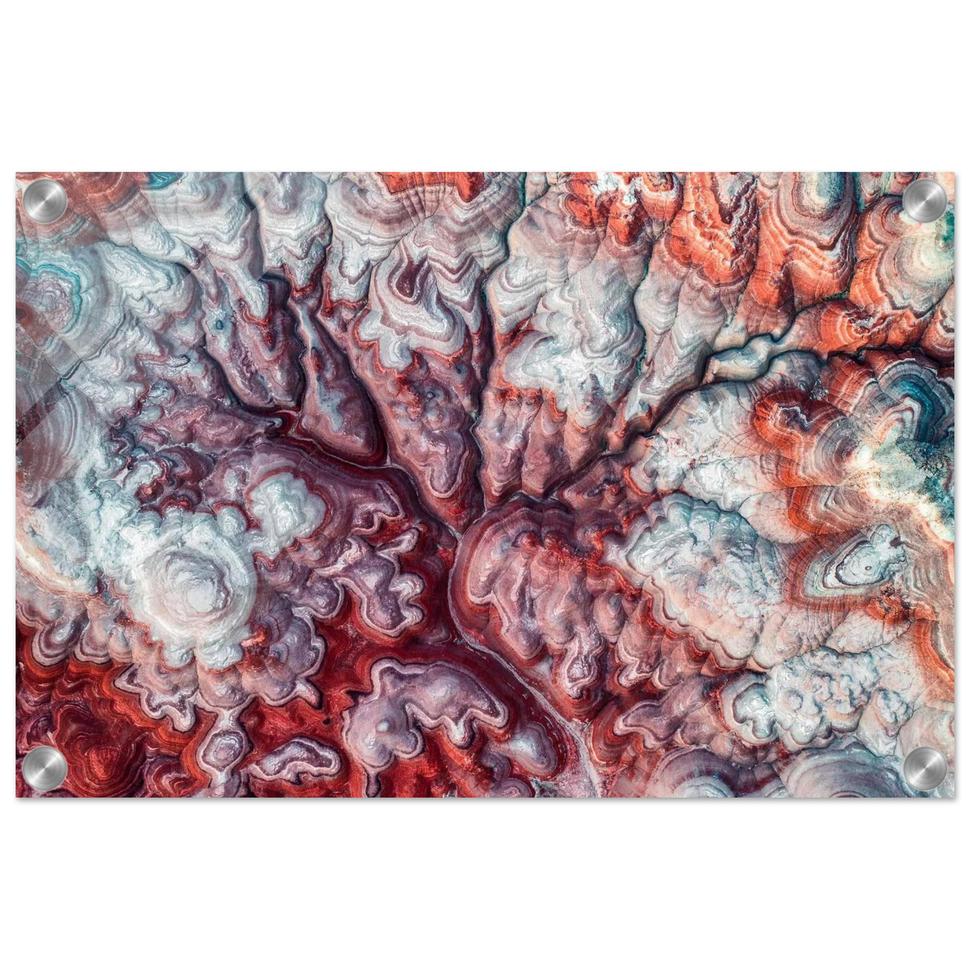 30c342e3-9327-474a-9504-2d07302b8f2d