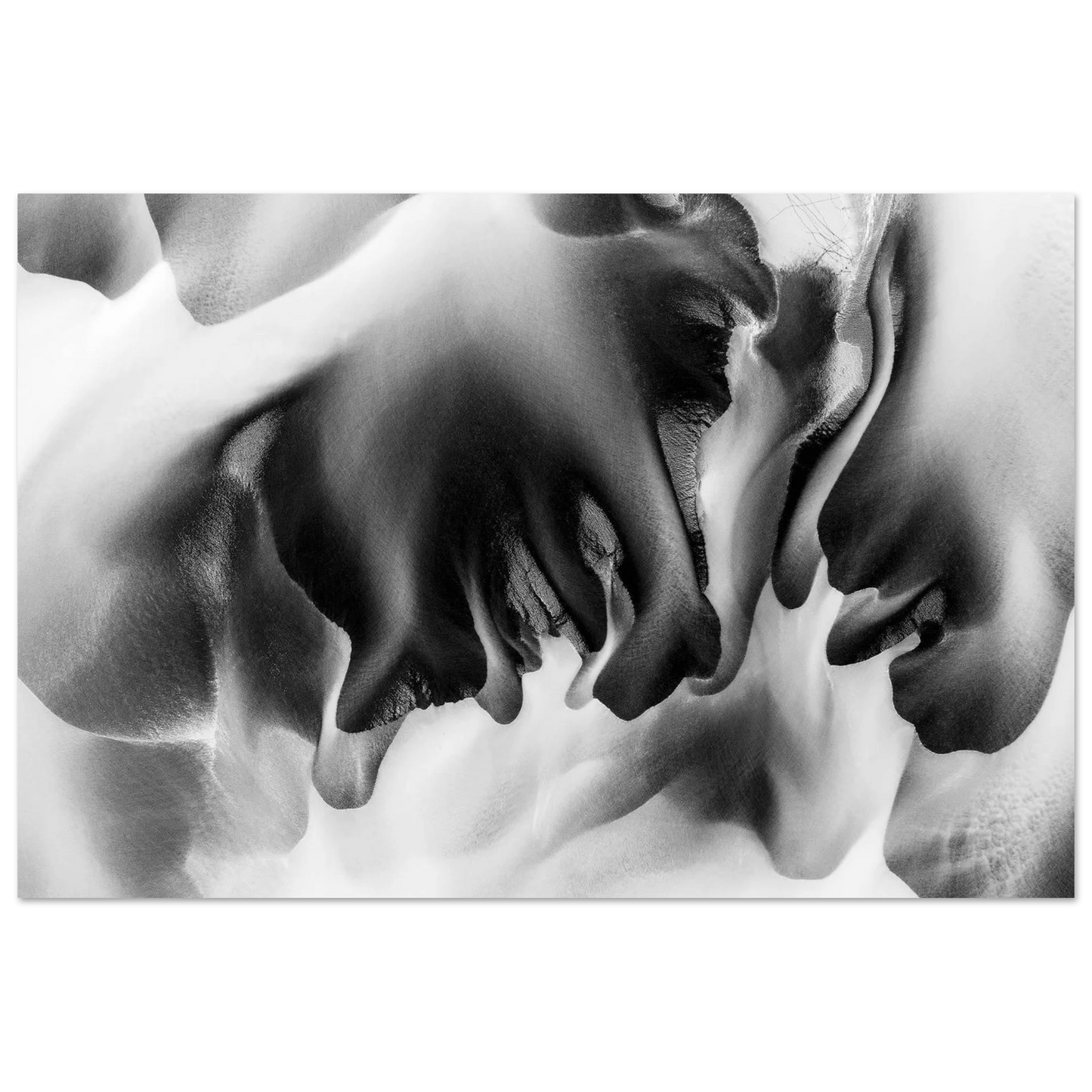 375317bb-3280-42a0-97af-eaefac3c681f