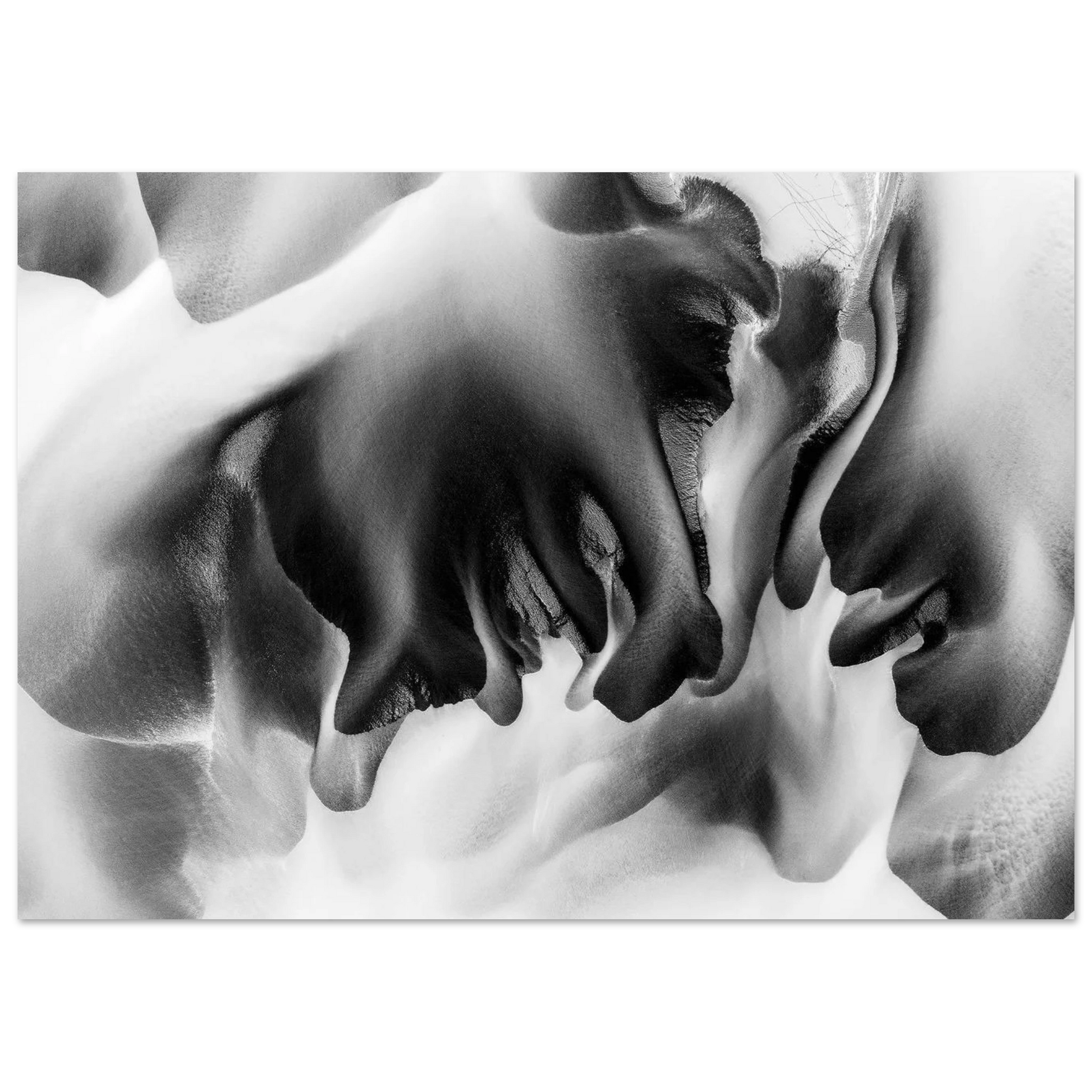 3e0c5449-cb83-4f18-ae1a-402c91a894a7
