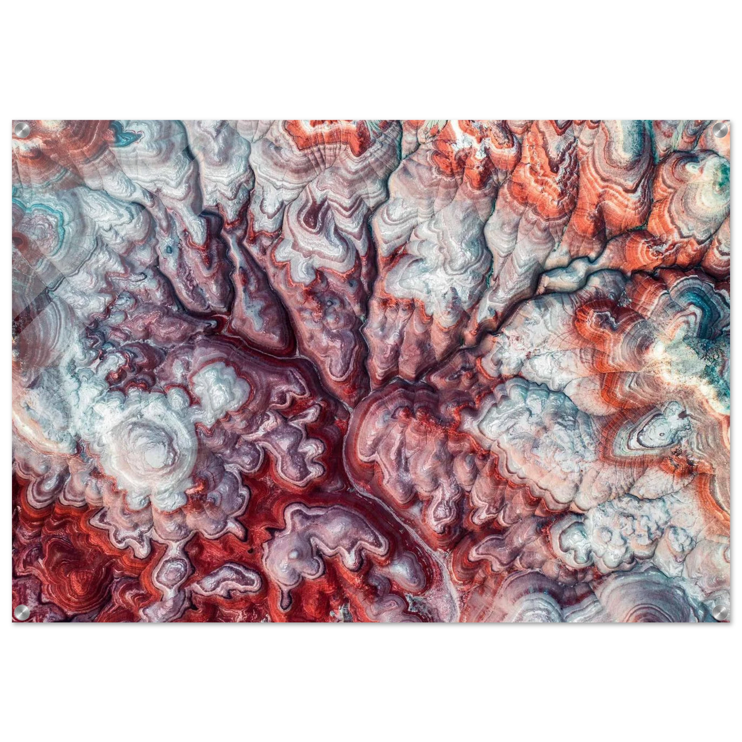 51f656bc-a35e-4ba6-b232-ce36e9c22964