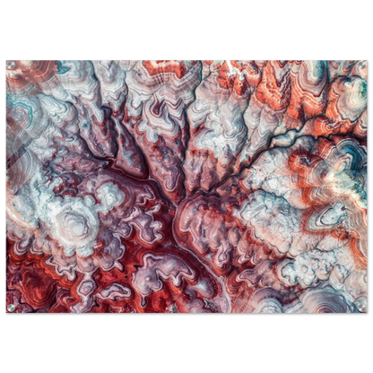 51f656bc-a35e-4ba6-b232-ce36e9c22964