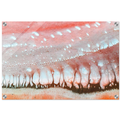 67525112-8d2c-4edd-be00-c2719743c658