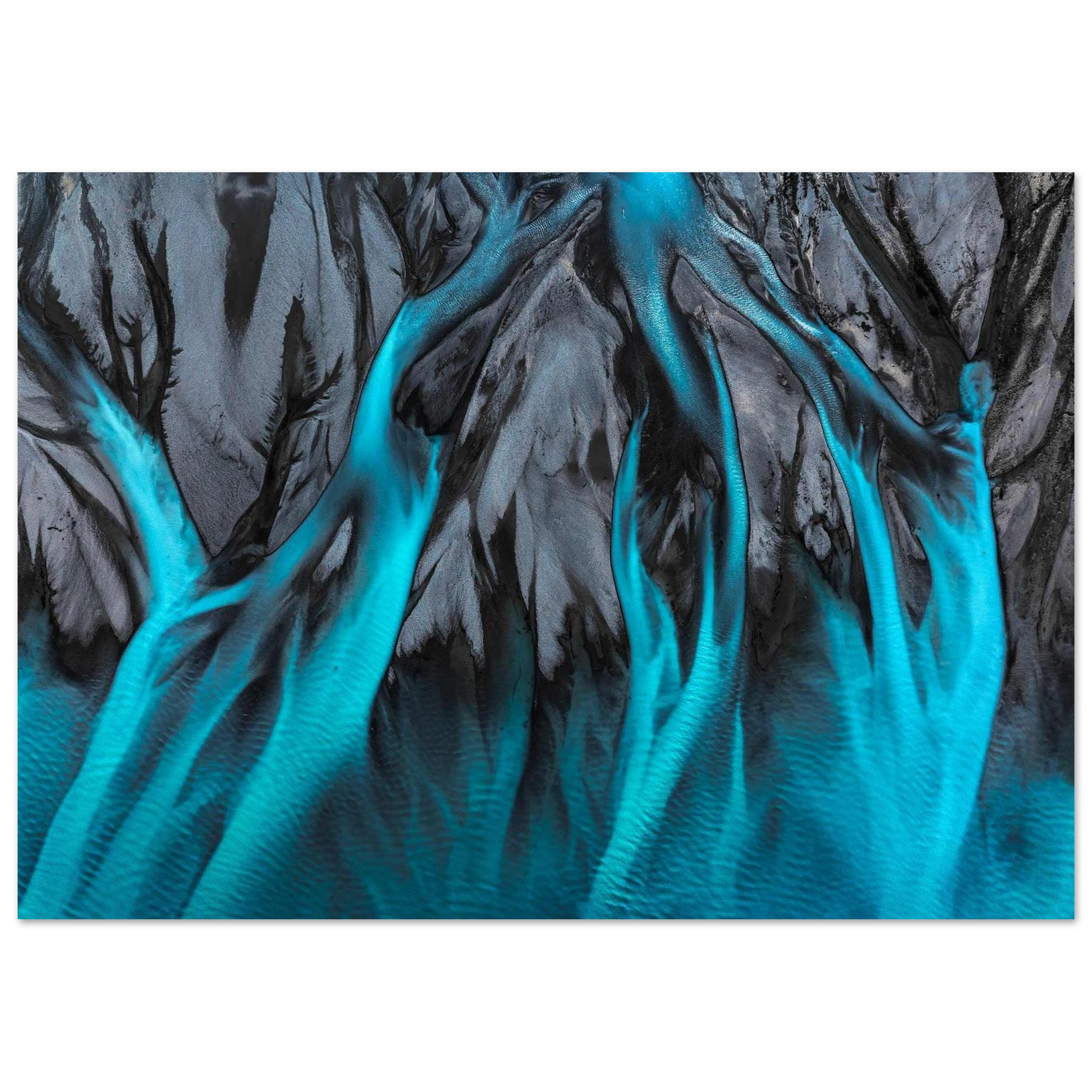 8c5f7a3b-540e-4595-848a-111ed3e5d906