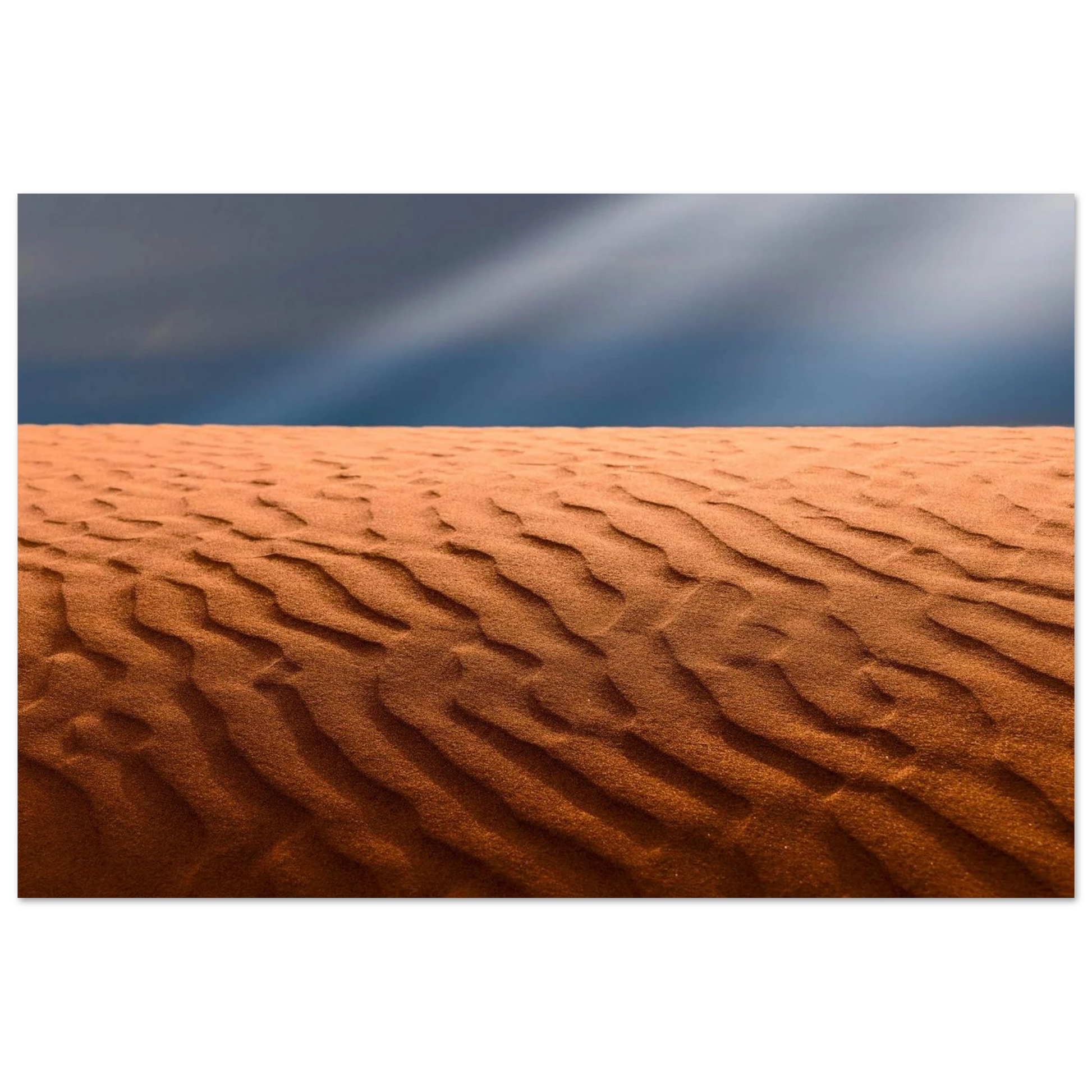 8ea76064-a65e-475a-9553-b22edef3452f