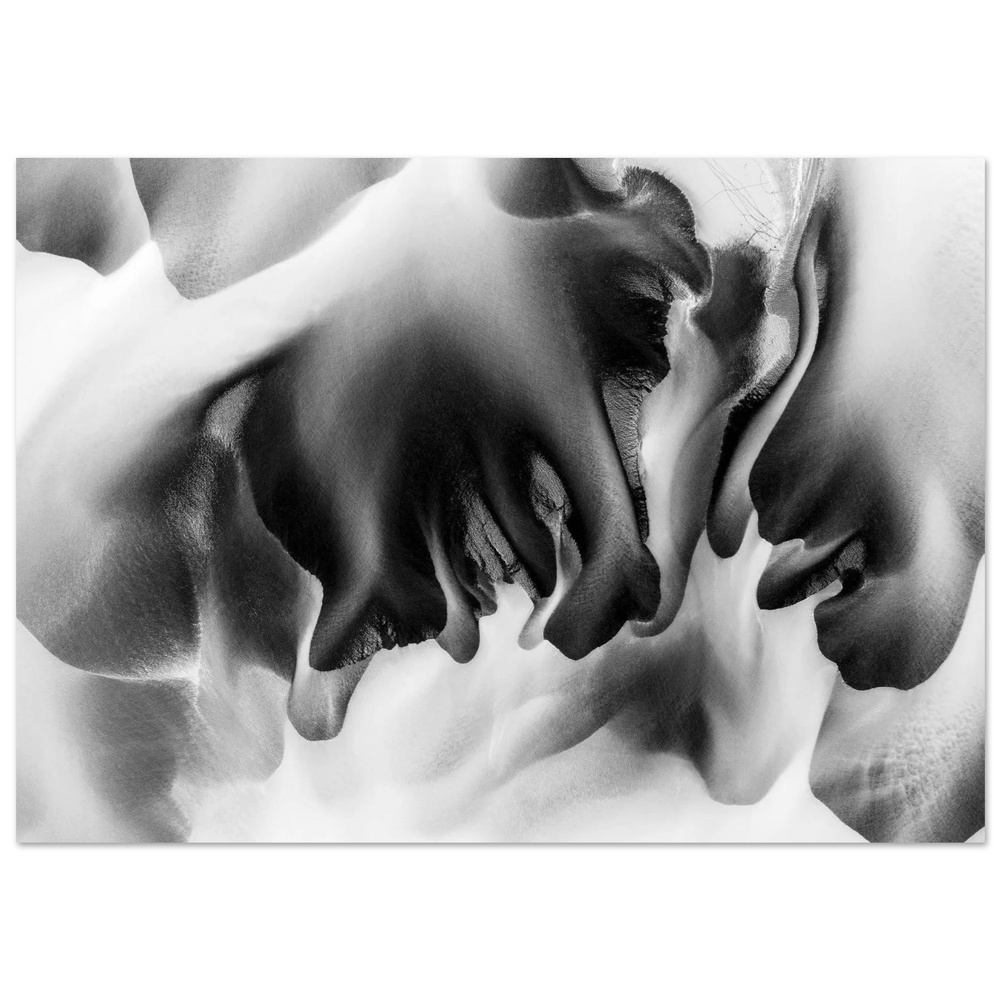927451c3-336b-4c29-94fb-394f931faf05