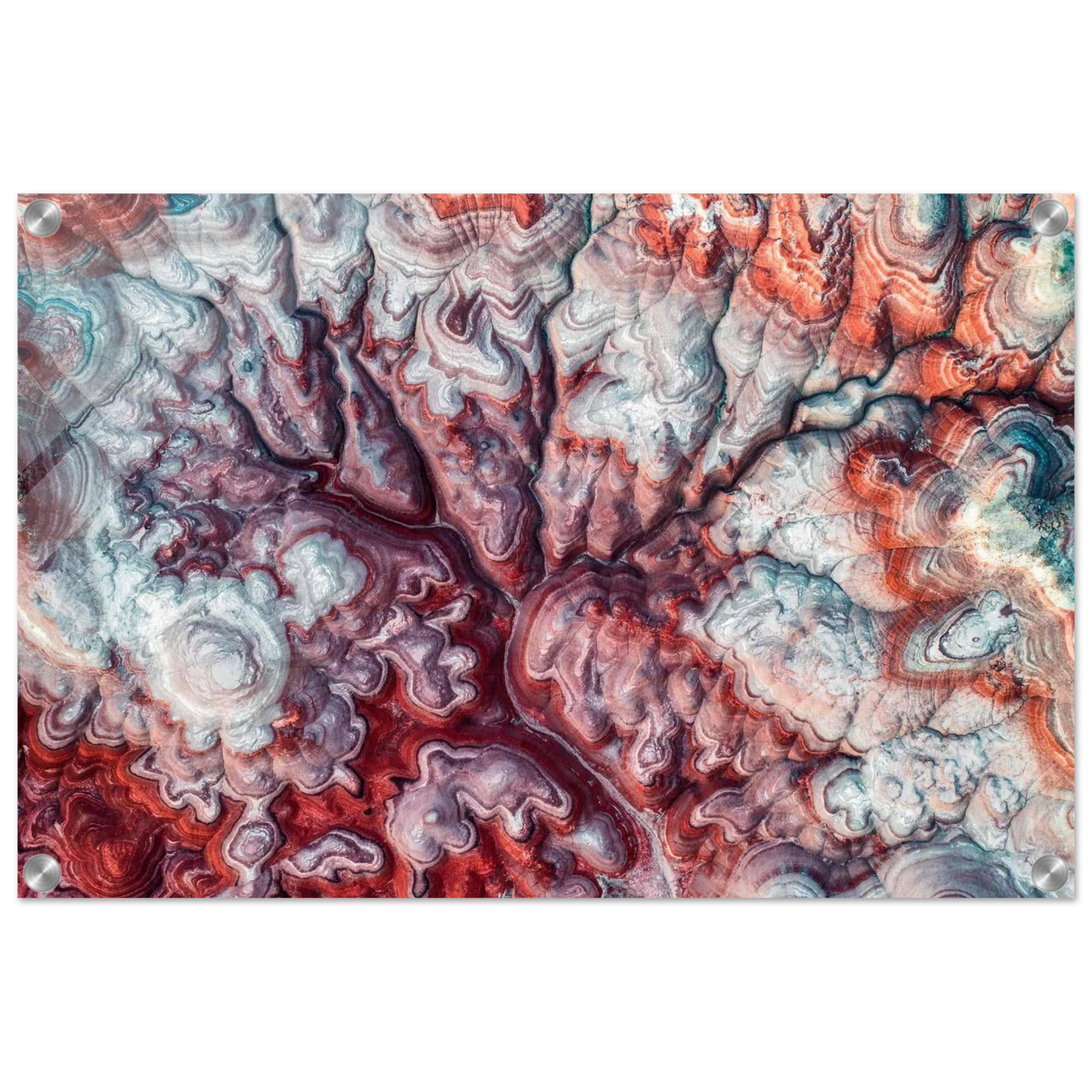 9fa25e06-8c31-4583-88a9-868b32c6ca77