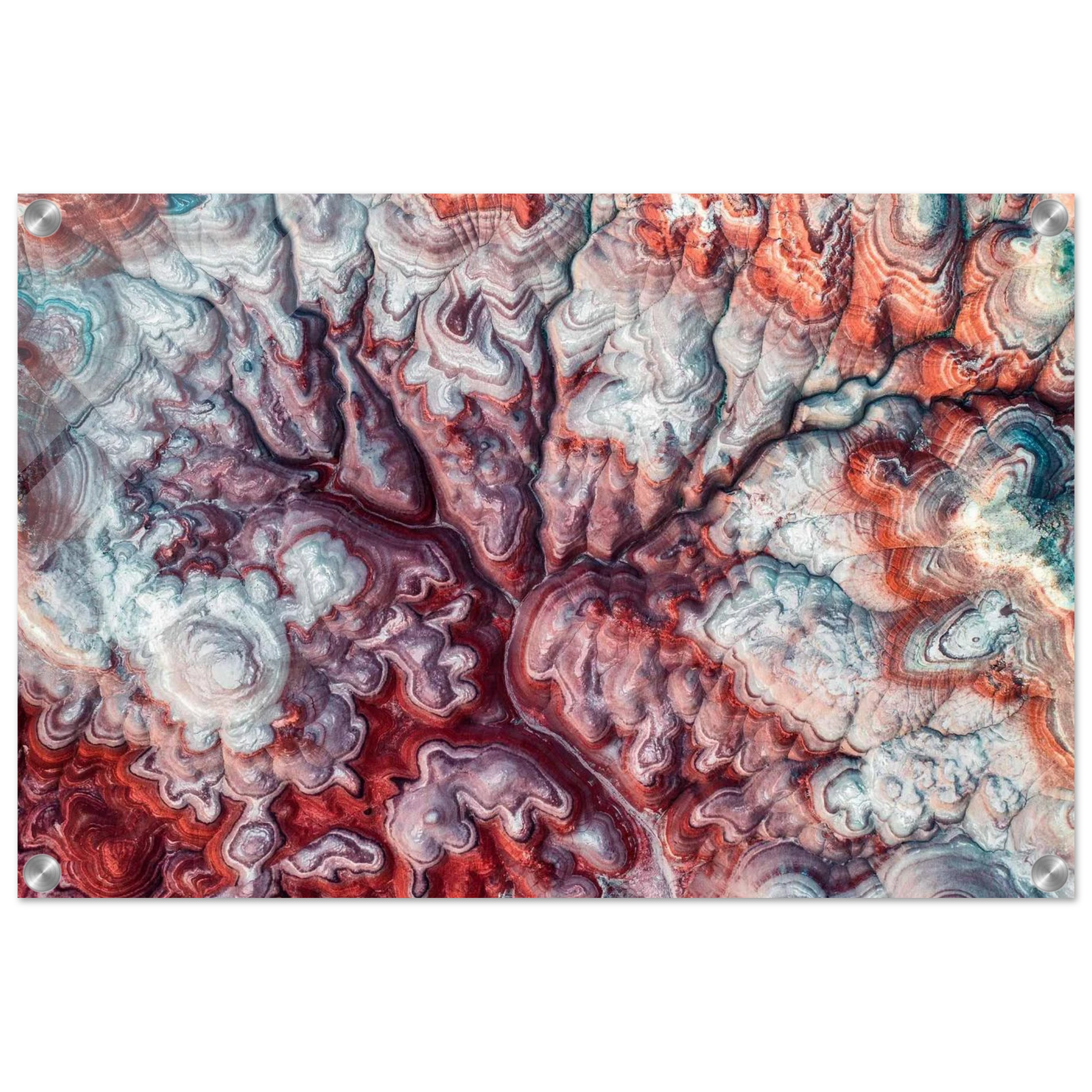 9fa25e06-8c31-4583-88a9-868b32c6ca77