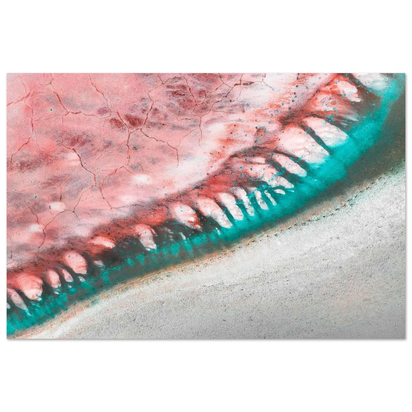 b1e1b536-ef78-4cc0-aa2a-e31f90ac88e1
