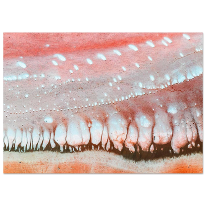 c01228c8-ec4a-4f19-a71b-b5ae22bb1f01
