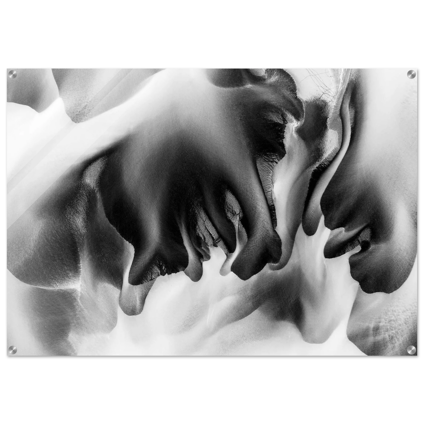 cb8b8c2c-8638-4755-ab1f-807bc9275a48