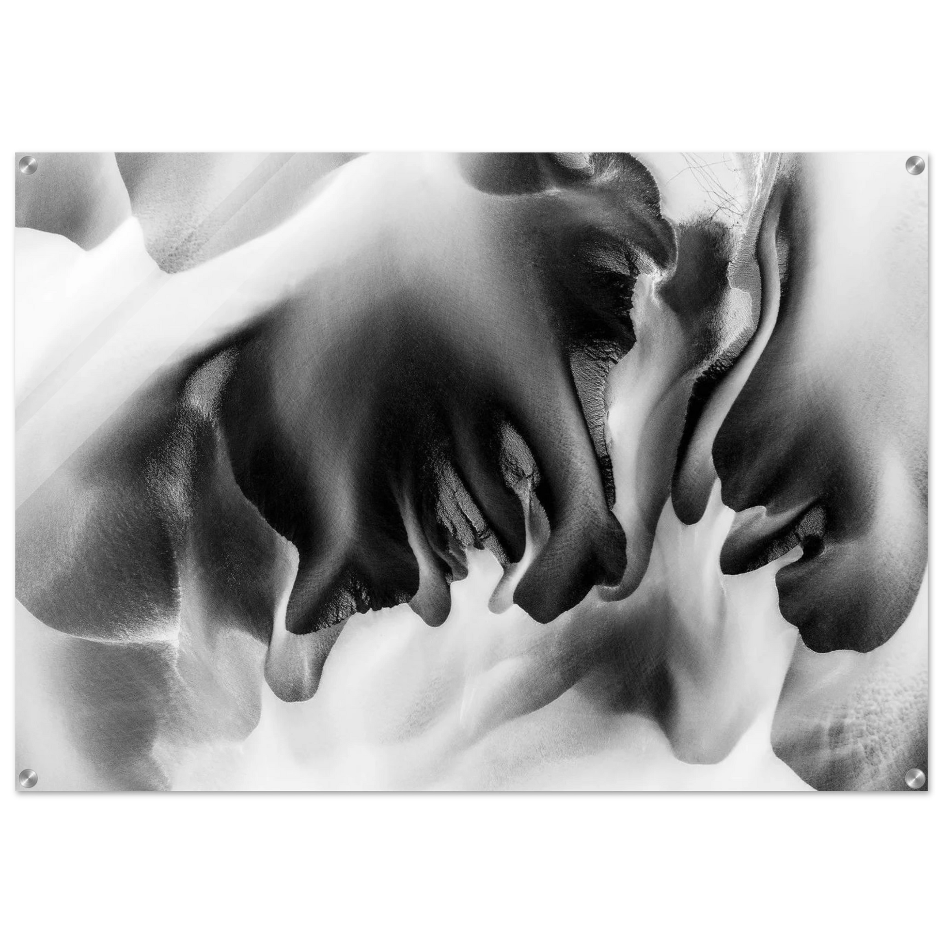 cb8b8c2c-8638-4755-ab1f-807bc9275a48