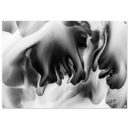cb8b8c2c-8638-4755-ab1f-807bc9275a48