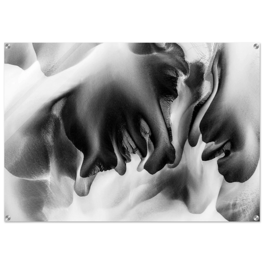 cb8b8c2c-8638-4755-ab1f-807bc9275a48