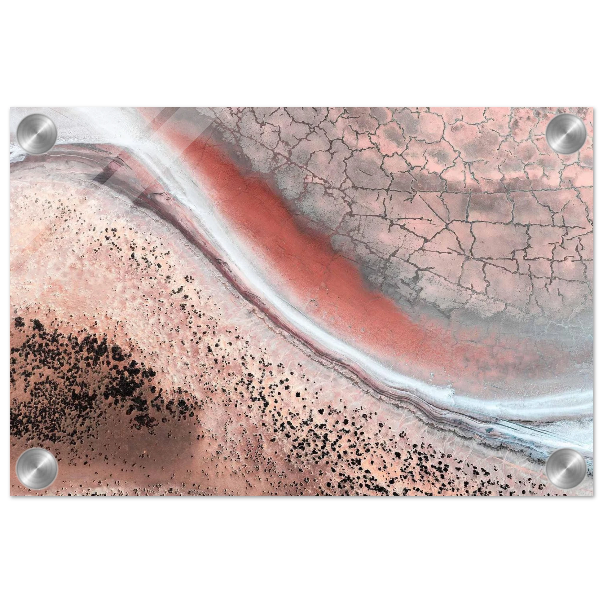 d6534fed-c665-44dc-a596-0fe97be239b3
