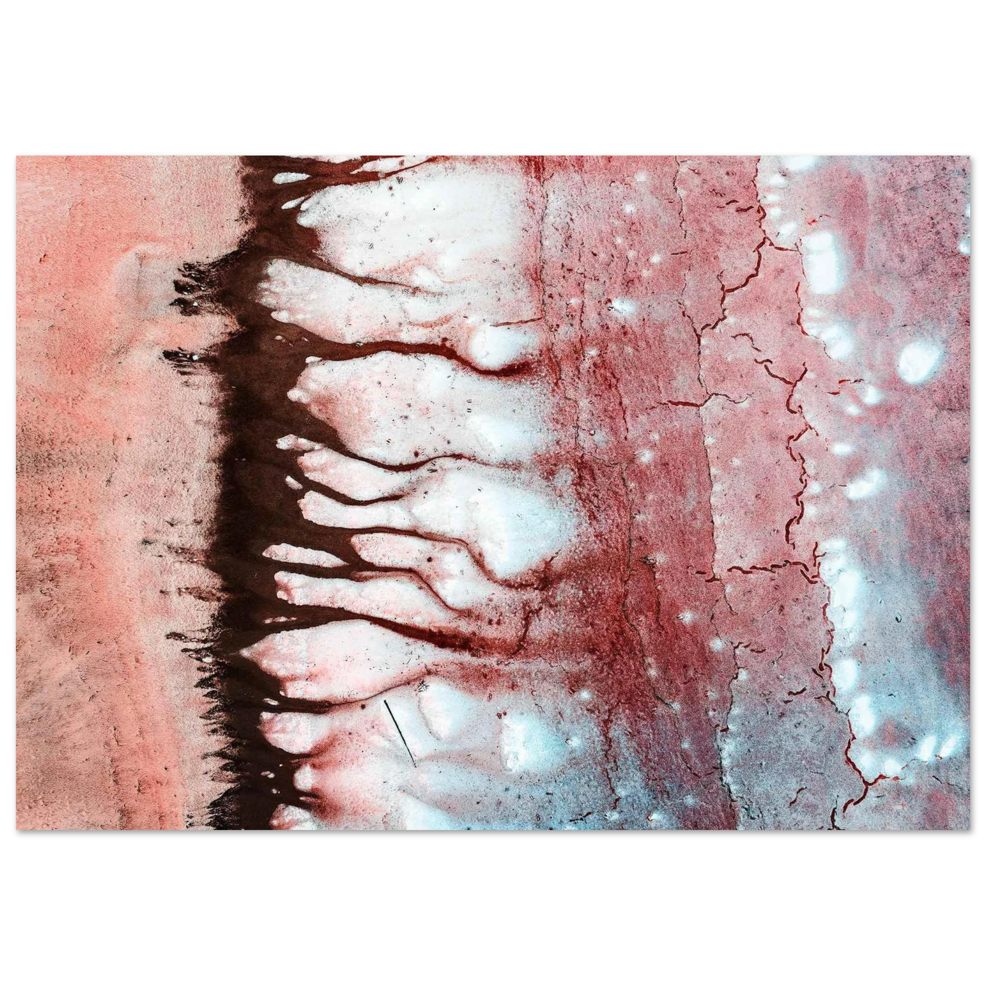 e45a4e4d-0e6d-476c-bcc8-859a587b43b0