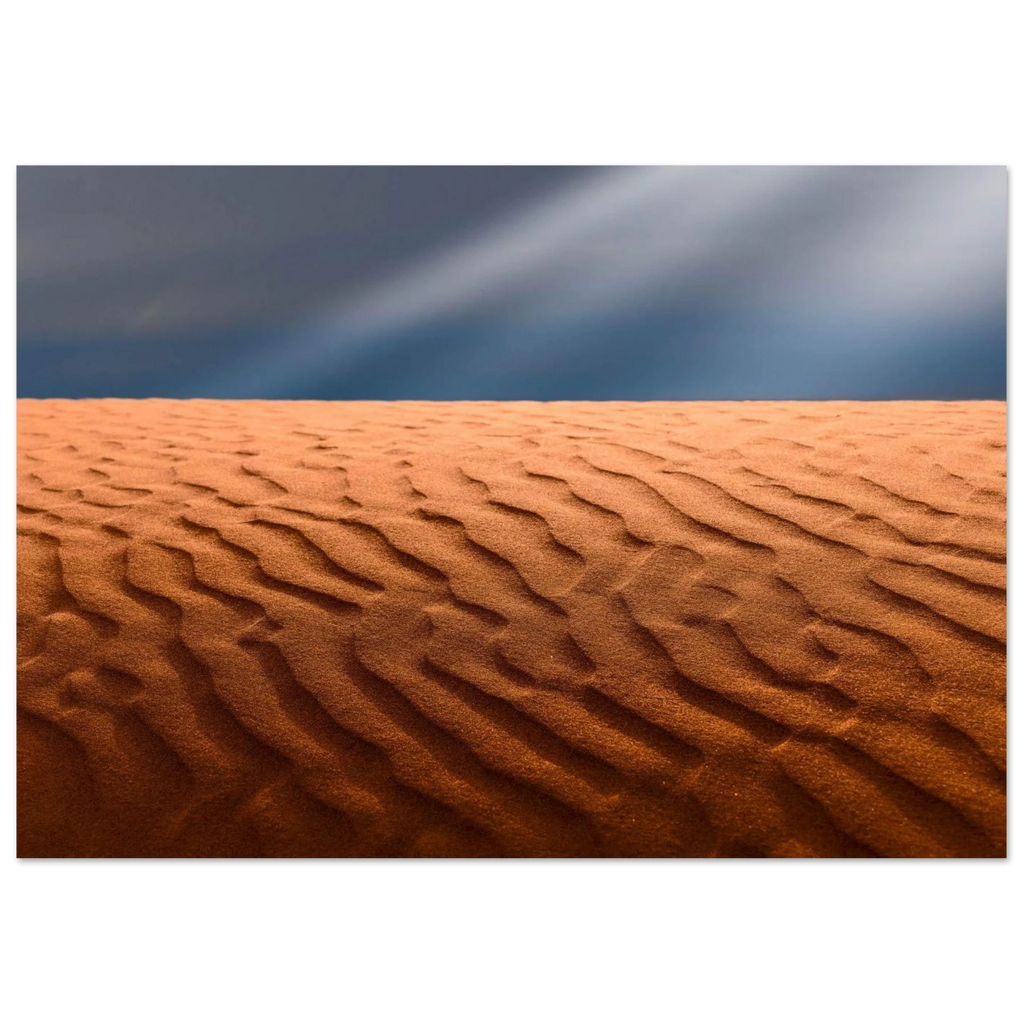 e6fc17e0-8d13-4c05-a493-aeb606373115