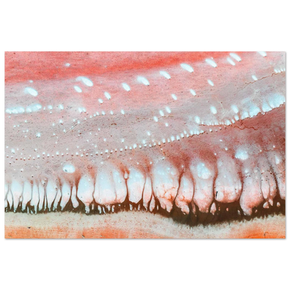 fa0d657d-2e07-4c48-b790-58df752ad737